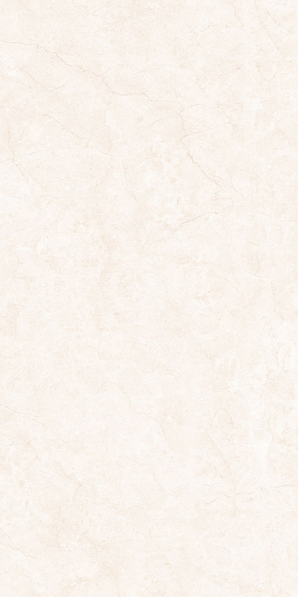 12010P